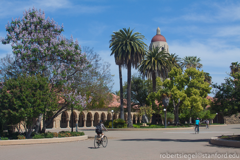 the quad